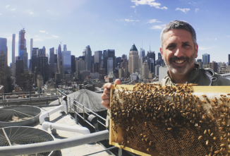 Rooftop Beekeeping: Honey Bees in the Sky